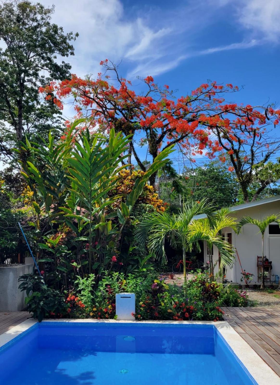 Mecca Puerto Viejo de Talamanca Exterior foto